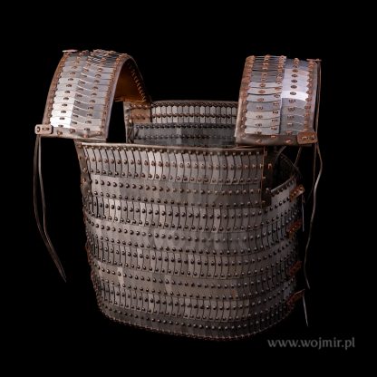 zbroja dla wikinga viking armor